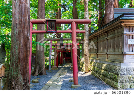 初夏の熊野神社(熊野大社) 本殿脇の稲荷神社と鳥居 山形県南陽市 初夏の熊野神社(熊野大社) 本殿脇の稲荷神社と鳥居 山形県南陽市 66601890