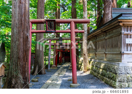 初夏の熊野神社(熊野大社) 本殿脇の稲荷神社と鳥居 山形県南陽市 初夏の熊野神社(熊野大社) 本殿脇の稲荷神社と鳥居 山形県南陽市 66601893