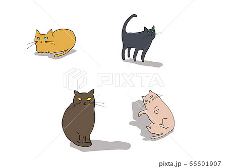 4匹のねこ 4匹のねこ 66601907