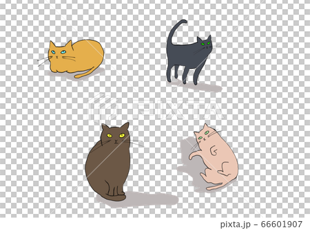 4匹のねこ 4匹のねこ 66601907
