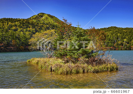 志賀高原大沼池 長野県 志賀高原大沼池 長野県 66601967