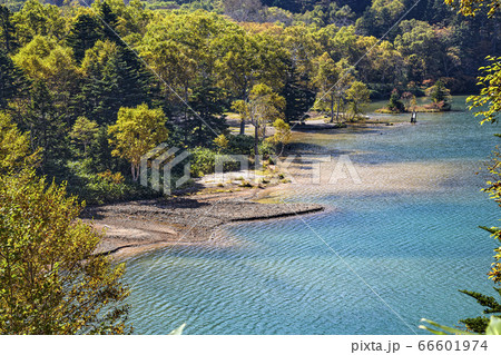 志賀高原大沼池 長野県 志賀高原大沼池 長野県 66601974