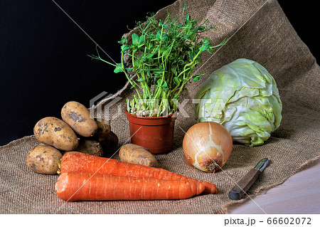 Vegetable still life. Cabbage, potato, onion 66602072
