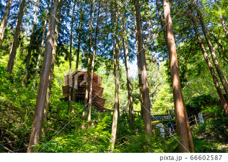 長野県上田市 夏の別所温泉の奥にある安楽寺の八角三重塔 長野県上田市 夏の別所温泉の奥にある安楽寺の八角三重塔 66602587