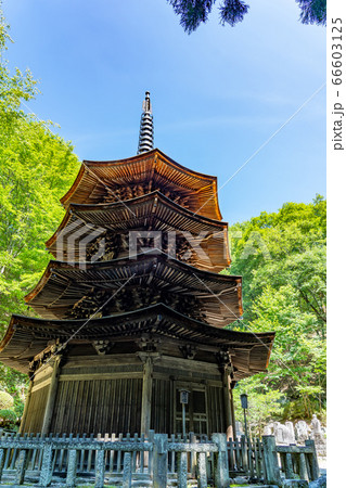 長野県上田市　夏の別所温泉の奥にある安楽寺の八角三重塔 66603125
