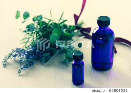ハーブのスワッグとアロマテラピーのボトル ハーブのスワッグとアロマテラピーのボトル 66603521