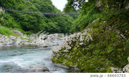 勝浦川の清流と いろどり橋 勝浦川の清流と いろどり橋 66603783
