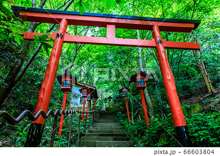 南蔵院　南天稲荷　【福岡県糟屋郡篠栗町】 66603804