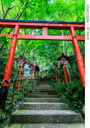 南蔵院　南天稲荷　【福岡県糟屋郡篠栗町】 66603805
