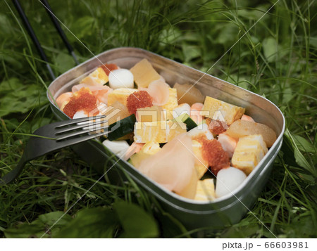 外で食べる手作りのおいしい海鮮ちらしのメスティン弁当 外で食べる手作りのおいしい海鮮ちらしのメスティン弁当 66603981