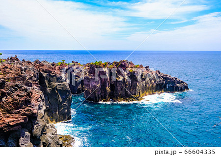 静岡県伊東市城ヶ崎海岸【６月】 66604335
