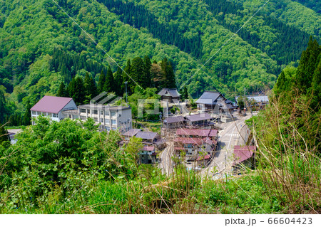 富山・新緑の利賀村中心部 富山・新緑の利賀村中心部 66604423