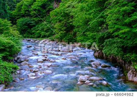富山・新緑の片貝川 富山・新緑の片貝川 66604982