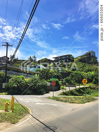 Houses on the hillside near Lanikai beach, Hawaii Houses on the hillside near Lanikai beach, Hawaii 66605004