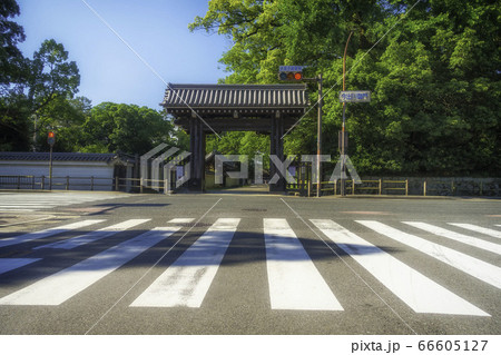 京都御苑の今出川御門と新緑の風景です 京都御苑の今出川御門と新緑の風景です 66605127