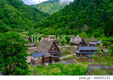 富山 新緑の五箇山 菅沼合掌造り集落の写真素材