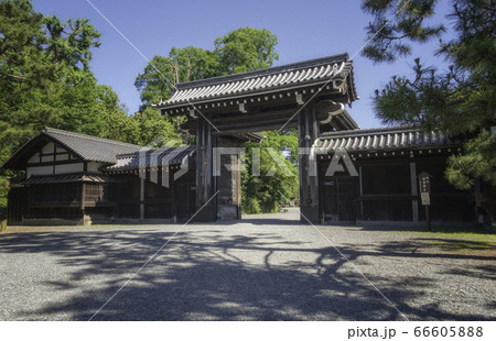 京都御苑の堺町御門と新緑の風景です 66605888