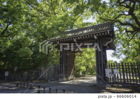 京都御苑の下立売御門と新緑の風景です 京都御苑の下立売御門と新緑の風景です 66606014