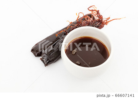 紅参 高麗人参 植物 66607141