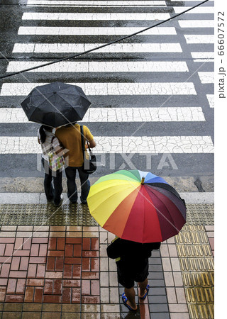 風景 傘 横断歩道 66607572