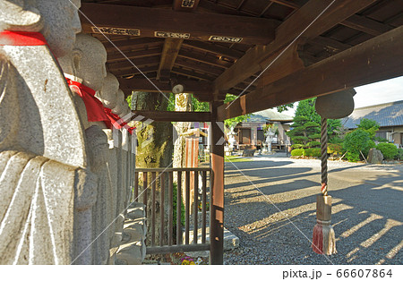 見沼田圃：光徳寺　曹洞宗 66607864