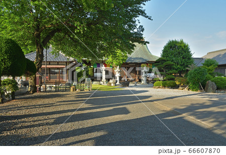 見沼田圃：光徳寺　曹洞宗 66607870