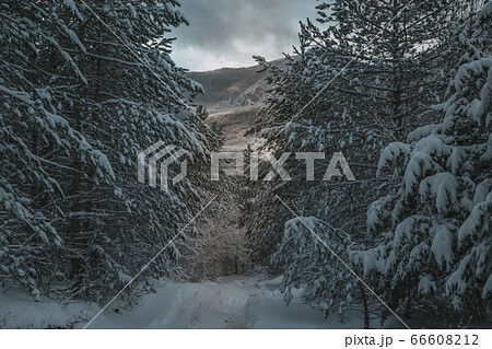 High mountains under snow in the winter High mountains under snow in the winter 66608212