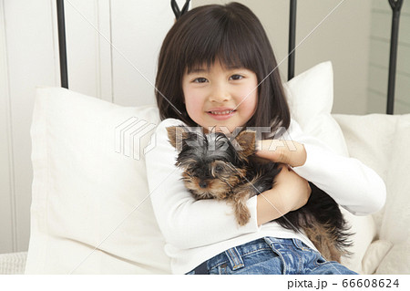 ヨークシャーテリアを抱く笑顔の女の子 ヨークシャーテリアを抱く笑顔の女の子 66608624