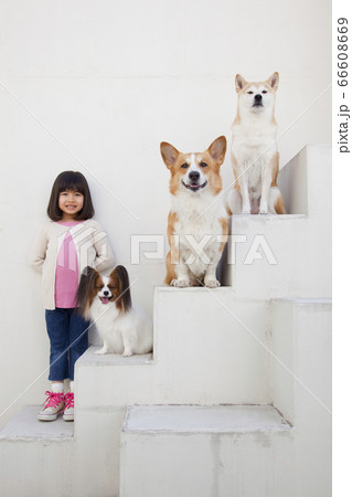 犬と女の子 66608669