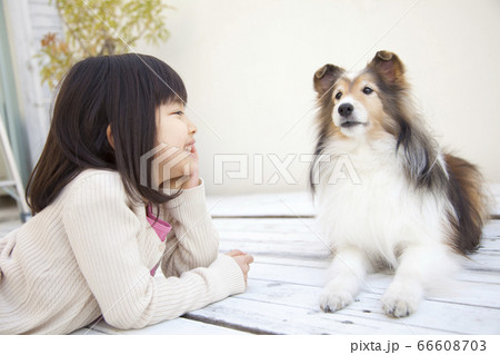 ペットと遊ぶ女の子 ペットと遊ぶ女の子 66608703