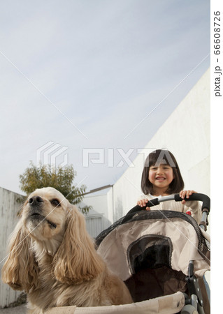 お散歩する女の子と飼い犬 お散歩する女の子と飼い犬 66608726