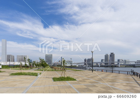 豊洲ぐるりパーク 66609260