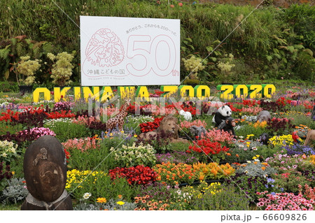 沖縄こどもの国（開園50周年） 66609826