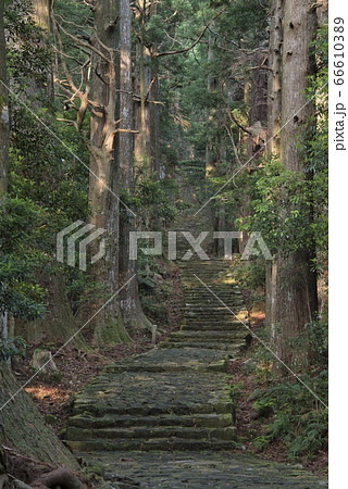 熊野古道　大門坂（和歌山県 那智勝浦町） 66610389