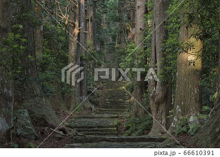 熊野古道　大門坂（和歌山県 那智勝浦町） 66610391