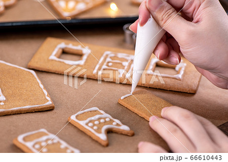 クリスマス xマス ｘマス 66610443