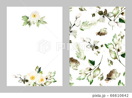 Watercolor card with delicate anemones 66610642