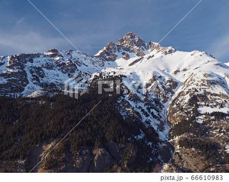 spruce tree forest and french Savoy alpes snow covered mountain top in sunny day 66610983