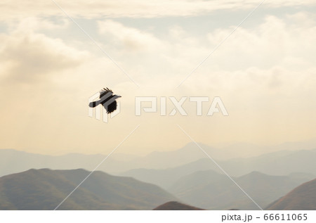 風景 輪郭 山 66611065