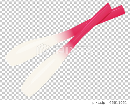 Illustration Of Hajikami Ginger Stock Illustration