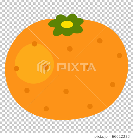 簡單的橙色手繪插畫無主線 簡單的橙色手繪插畫無主線 66612223