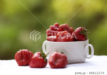 strawberry in bowl close up photo on green grass background 66612274