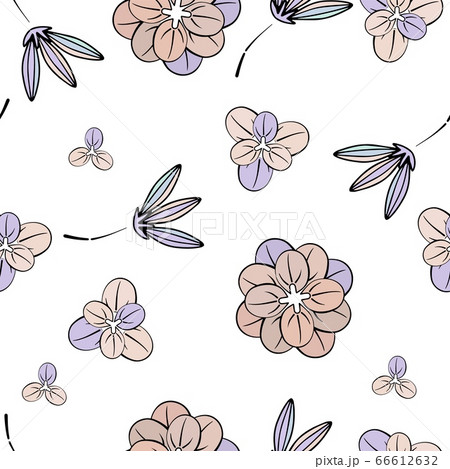 Flowers and buds on a white background. 66612632