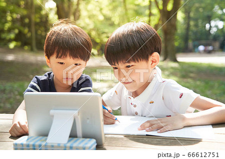 野外で画面を見ながら勉強する男の子 66612751