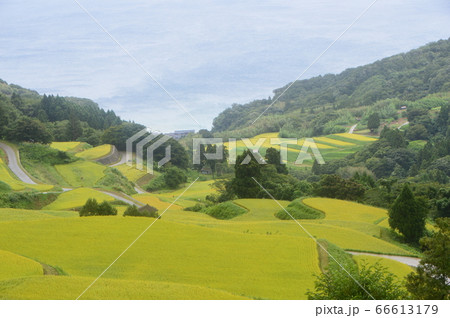 岩首昇竜棚田(新潟県佐渡市岩首地区) 岩首昇竜棚田(新潟県佐渡市岩首地区) 66613179