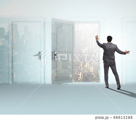 Businessman facing many business opportunities 66613288