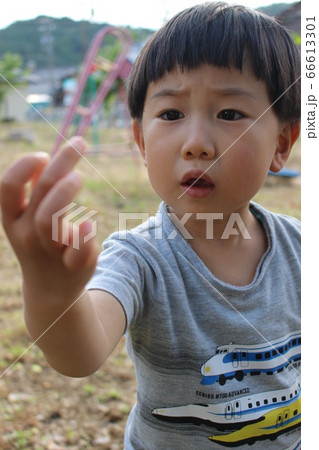 指についた虫を不思議そうに見つめる日本人の子供 66613301