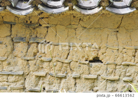 築地塀(唐招提寺/奈良県奈良市五条町) 築地塀(唐招提寺/奈良県奈良市五条町) 66613562