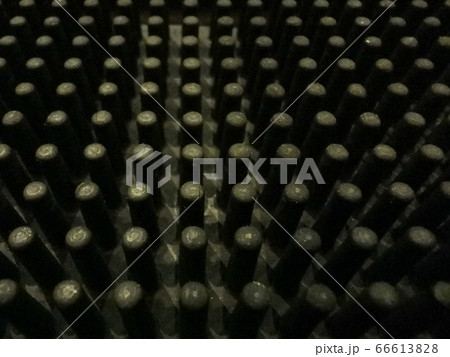 Black background with some plant pattern in white color Black background with some plant pattern in white color 66613828