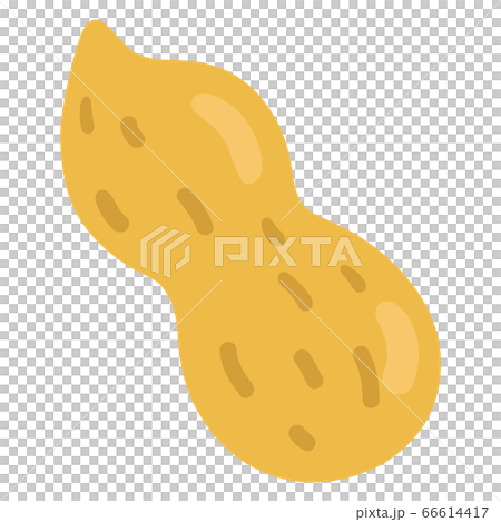 落花生の殻の手描きのイラスト　主線なし 66614417